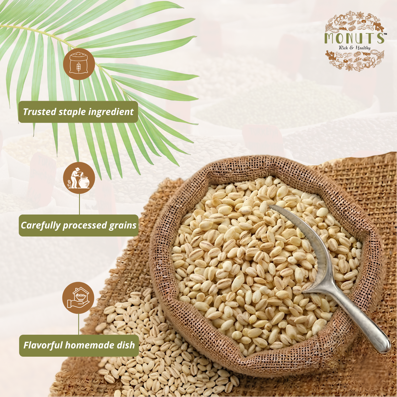 Barley - Image 2